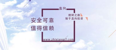 上海市P2P平臺優(yōu)劣判斷指南 融資咨詢服務必知要點